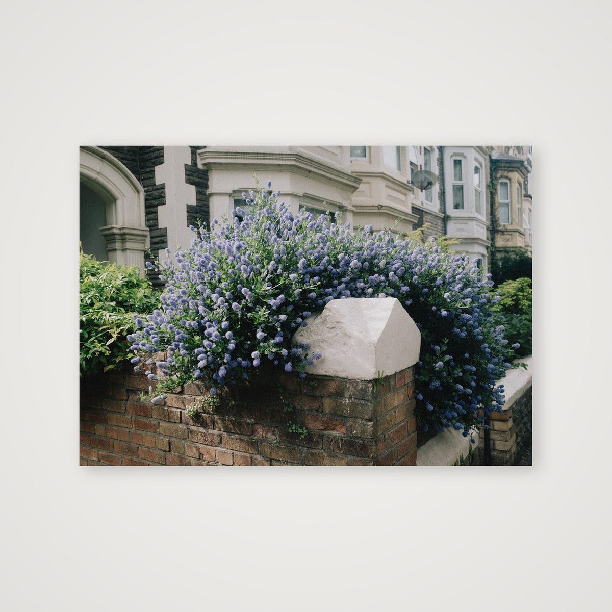 Street 1.0 — A4 (30×21cm, 12×8") Print only